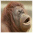 A 3x3 contact sheet of an animated icon featuring a monkey's face with changing mouth positions and text overlays, displayed on a gray background.