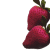 strawberries with green text overlays showing partial and full words