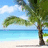 Pixelated beach scene with palm tree, turquoise water, white sand, and blue sky with clouds.