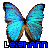 A blue butterfly with brown wing edges appears in a of identical icons, each labeled 'Leighann' below