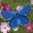 Blue butterflies and pink-and-white flowers on a green grassy background with no visible text.