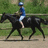 Pixelated image of a person riding a black horse on a dirt path with green foliage background.