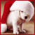 Animated white puppy wearing red Santa hat with white trim, sitting on wooden surface, head turning from left to right.