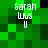 Green pixelated background with white text 'Sarah LMS U' repeated in four positions, showing slight variations between frames.