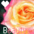 Animated contact sheet of a pink and yellow rose with heart icons and the word "Beauty" in pixelated text across multiple frames.