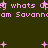 Pixelated pink text and plus signs on dark green background with repeated 'whats up' phrases.