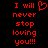 Red pixelated text on black background reads "I will never stop loving you!!!" with a heart symbol replacing the 'o' in 'love' on the left side.