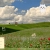 Pixelated landscape with green field, blue sky, and white clouds; small dark shape on horizon; light-colored rectangular element on left edge.