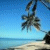 Animated beach scene with palm trees and ocean background, text changes across frames showing 'CALIFORNIA', 'HERE', 'HE', 'COME' in pixelated font.