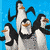 Four penguins with orange beaks and black-and-white bodies stand against a blue background, some raising flippers.