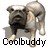 A 4-frame animated contact sheet showing a bulldog mascot in different walking poses with the text 'Coolbuddy' below each frame.