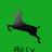 Animals icons for AIM, MSN, MySpace and Yahoo