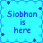 Pixelated blue icon with repeated text "Siobhan is here" in four quadrants, bordered by small star and diamond shapes.