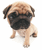 Pixelated image of a light brown pug dog with dark facial markings standing against a white background.