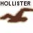 Brown stylized wave logo with 'HOLLISTER' text above, two variations showing different wave shapes.