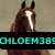 Four horse images arranged in a with text overlays: top-left brown horse, top-right light brown horse, bottom-left white horse, and bottom-right empty space