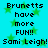 Pixelated text on cyan background with green stars, repeating 'Brunetts have more FUN!!' and 'Sami Leigh!' in two