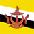 Flags icons for AIM, MSN, MySpace and Yahoo