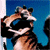 Animated sequence of a tiger's head turning from left to right against a solid blue background, showing motion