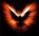A pixelated static image of a stylized animal face with glowing eyes and orange-brown fur against dark background.