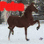 A horse in motion with text overlays reading 'Ponybox', 'Loves', and 'Faster' across four