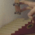 A person in a crouched position on stairs with one arm raised, viewed from multiple angles across four