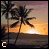 A beach sunset scene with palm trees silhouetted against an orange and purple sky, transitioning from partial text to full text at the bottom.