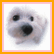 Animated contact sheet showing two frames of a white dog's face with orange border and repeated red text "cute" on yellow background.