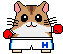 Pixelated hamster in white shorts with blue 'H' and red boxing gloves, facing forward with arms extended in a boxing stance.