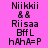 Four identical pixelated text blocks arranged in a , each displaying 'Niikkii && Riisaa BffL hAhA=P' on distinct background colors