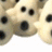 A static image with a pixelated dog face on the left and orange background text listing names and 'HAPPY HALLOWEEN U GUYS!!!'