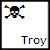 Pixelated icon features a skull with crossbones above the name 'Troy' in stylized letters on white background.