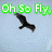 Animated icon with four showing a bird, text, and a person's face against various backgrounds
