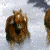 Brown horse with white markings on face and legs stands in snow, head turned left to right across frames.
