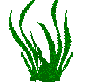 Green pixelated seaweed-like shapes on a gray background, arranged in three of four