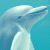 Pixelated dolphin head in profile against light blue background, right side displays green text on dark green background.