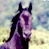 Animated contact sheet showing a purple horse icon with two distinct frames and a separate text element on blue background.