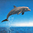 Pixelated dolphin leaps from blue ocean against light sky, with cyan text on solid blue background reading 'I love Danielle R', 'January 12 08', and 'Together Forever'.