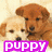 Two side-by-side pixelated images: left shows two dogs with light and brown fur, right shows multiple dark-furred animals on a green background.