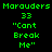 Green pixelated text on black background reads Marauders 33 "Can't Break Me" in two identical vertical with no visible animation changes