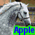 Four horse-themed with text overlays: white horse head, rider on brown horse, brown horse head, and rider on brown horse in motion