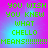 Green pixelated text on a pink-to-blue gradient background reads "YOU WISH YOU KNEW WHAT CHELLO MEANS!!!!!!!!!" in a