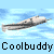 A 4x4 contact sheet of animated frames showing a gray and white propeller plane flying against a light blue sky background with repeating "Coolbuddy" text below each row.