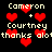Pixelated text and red heart symbols on a black background, with names 'Cameron' and 'Courtney' repeated in light-colored block letters.