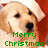 Pixelated close-up of a light-colored dog's face with dark eyes and nose, wearing a red Santa hat against a white background.