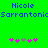 Green background with blue text reading 'Nicole' and 'SarrantonicSarrantoni', pink and gray flower icons below.