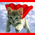A 2x2 contact sheet of a cat in a red cape and Superman logo animation frames with visible pixelation and transparency background.