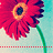 A pixelated red flower with a yellow-orange center and dark blue core, green stem, and light blue background with red dotted line at bottom.