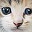 Flickr: The Help Forum: Can't see any images (China June 7th 12.30pm) 中国－看不见图片
