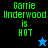 A 4-frame animated contact sheet showing pixelated text "Carrie Underwood is HOT" with varying background colors and star symbols, arranged in a 2x2 grid.